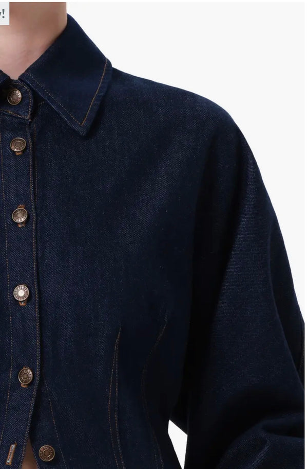 AGOLDE Devon Denim Button-Up Shirt