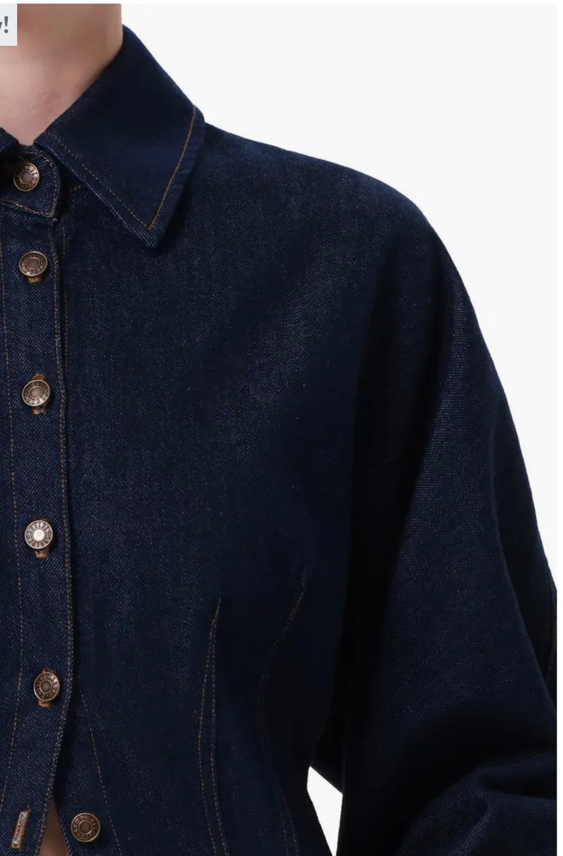 AGOLDE Devon Denim Button-Up Shirt
