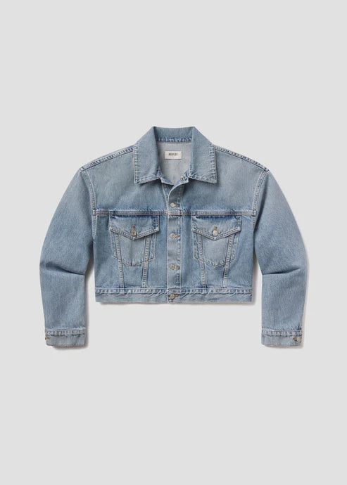 AGOLDE Palmer Jacket In Space